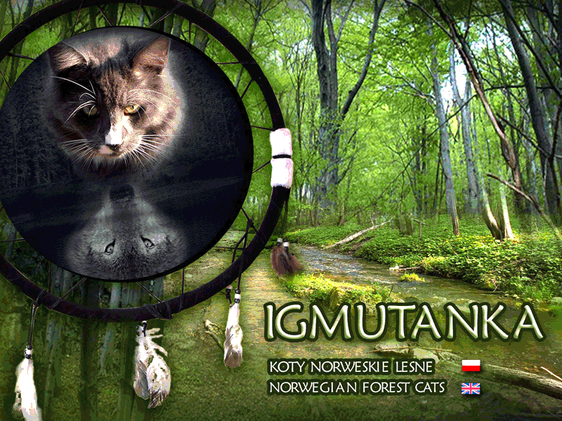 Igmutanka